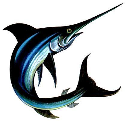 Морская азбука - pic_46.jpg