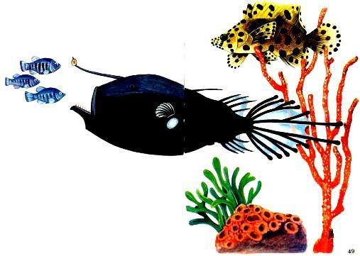 Морская азбука - pic_53.jpg