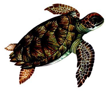 Морская азбука - pic_61.jpg