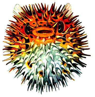 Морская азбука - pic_63.jpg