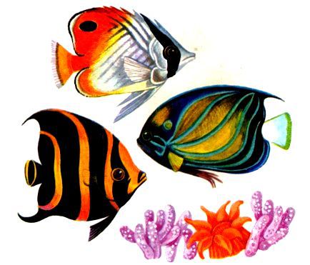 Морская азбука - pic_65.jpg