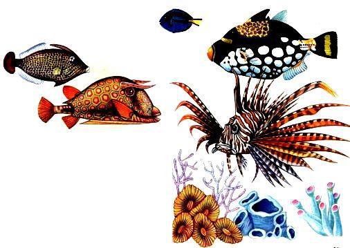 Морская азбука - pic_69.jpg