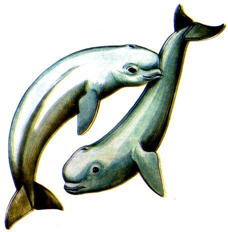 Морская азбука - pic_7.jpg