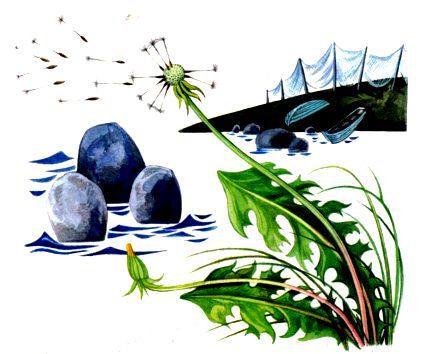 Морская азбука - pic_74.jpg