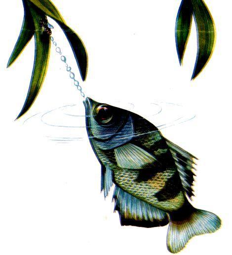 Морская азбука - pic_8.jpg