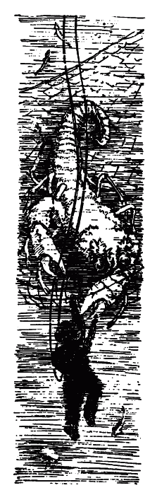 Случай с водолазом Терёхиным - pic02.png