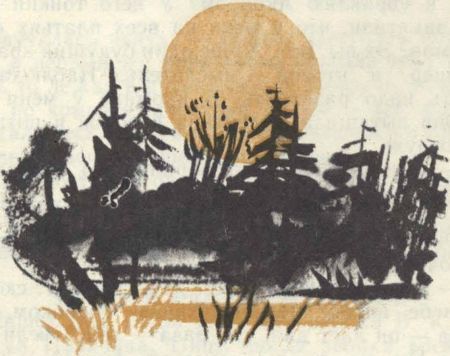 Танк на Медвежьем болоте - i_014.jpg