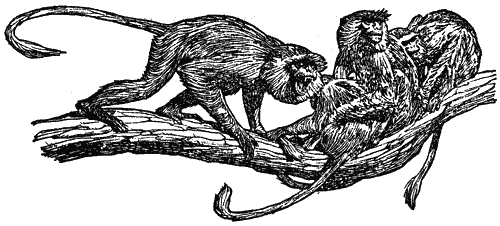 Леопард из Рудрапраяга - i_012.png