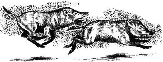 Моя Индия - i_010.png