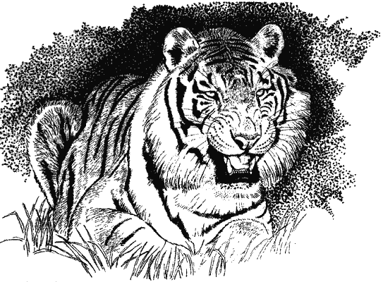 Моя Индия - i_011.png