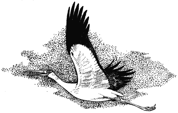 Моя Индия - i_012.png