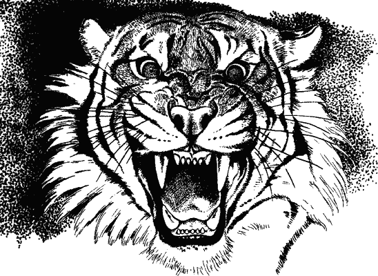 Моя Индия - i_015.png