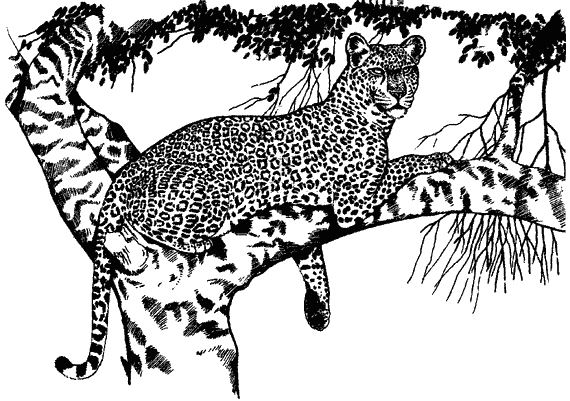 Моя Индия - i_016.png