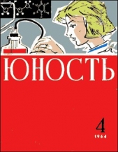 Триста дней ожидания - автор Никольский Борис 