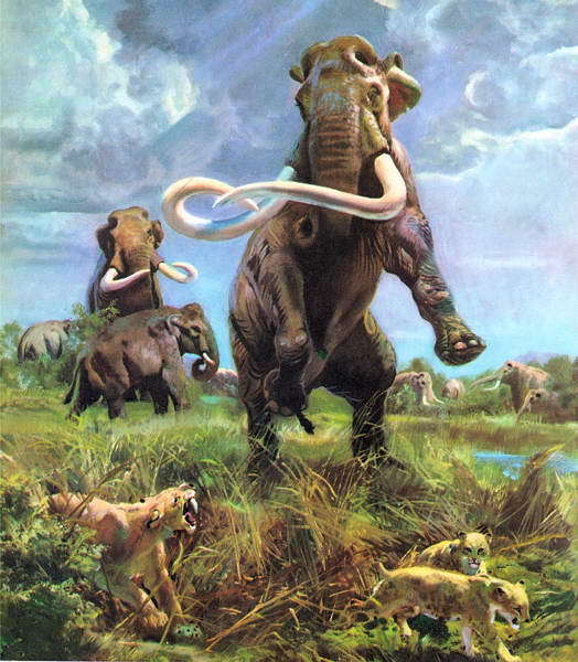 Беспозвоночные. Ископаемые животные - i_423.jpg