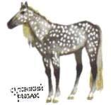 Домашние животные - i_140.jpg