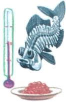 Домашние животные - i_240.jpg