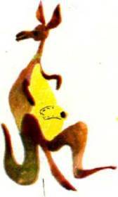 Клоачные, сумчатые, насекомоядные, шерстокрылые, хищные, непарнокопытные и парнокопытные - i_019.jpg