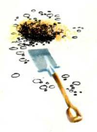 Клоачные, сумчатые, насекомоядные, шерстокрылые, хищные, непарнокопытные и парнокопытные - i_082.jpg