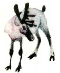 Клоачные, сумчатые, насекомоядные, шерстокрылые, хищные, непарнокопытные и парнокопытные - i_319.jpg