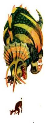 Клоачные, сумчатые, насекомоядные, шерстокрылые, хищные, непарнокопытные и парнокопытные - i_325.jpg