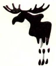 Клоачные, сумчатые, насекомоядные, шерстокрылые, хищные, непарнокопытные и парнокопытные - i_327.jpg