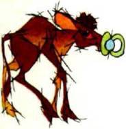 Клоачные, сумчатые, насекомоядные, шерстокрылые, хищные, непарнокопытные и парнокопытные - i_369.jpg