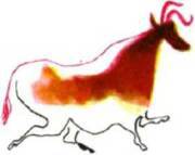 Клоачные, сумчатые, насекомоядные, шерстокрылые, хищные, непарнокопытные и парнокопытные - i_371.jpg