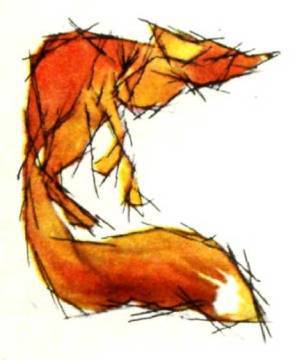 Клоачные, сумчатые, насекомоядные, шерстокрылые, хищные, непарнокопытные и парнокопытные - i_386.jpg