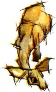 Клоачные, сумчатые, насекомоядные, шерстокрылые, хищные, непарнокопытные и парнокопытные - i_387.jpg