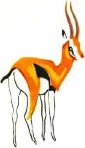 Клоачные, сумчатые, насекомоядные, шерстокрылые, хищные, непарнокопытные и парнокопытные - i_388.jpg