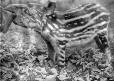 КУДА? и КАК? - i_021.jpg