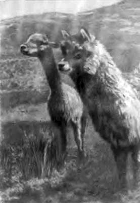 КУДА? и КАК? - i_023.jpg