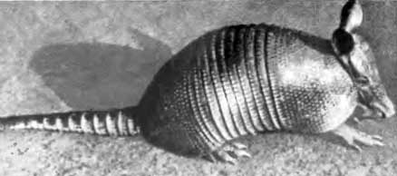 КУДА? и КАК? - i_026.jpg