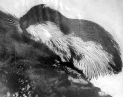 КУДА? и КАК? - i_035.jpg