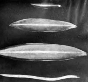 КУДА? и КАК? - i_037.jpg