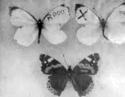 КУДА? и КАК? - i_040.jpg