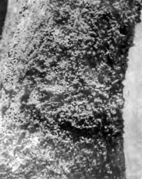 КУДА? и КАК? - i_042.jpg