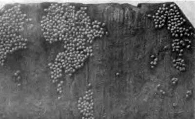 КУДА? и КАК? - i_043.jpg