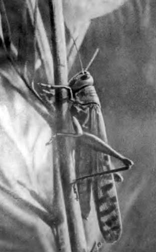 КУДА? и КАК? - i_045.jpg