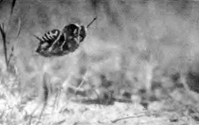 КУДА? и КАК? - i_051.jpg