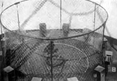 КУДА? и КАК? - i_054.jpg