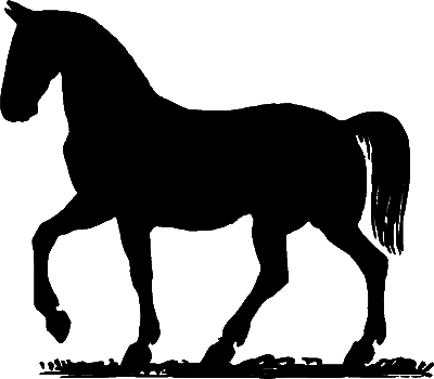 На коне — через века - i_002.png