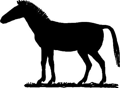 На коне — через века - i_004.png