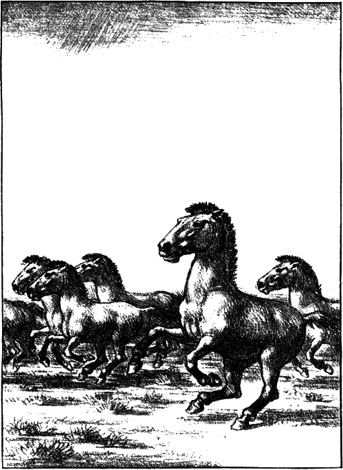 На коне — через века - i_005.png