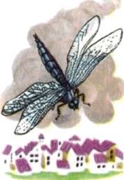 Насекомые. Пауки - i_035.jpg