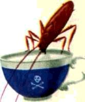 Насекомые. Пауки - i_052.jpg