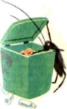 Насекомые. Пауки - i_081.jpg