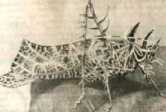 Насекомые. Пауки - i_098.jpg