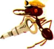 Насекомые. Пауки - i_228.jpg